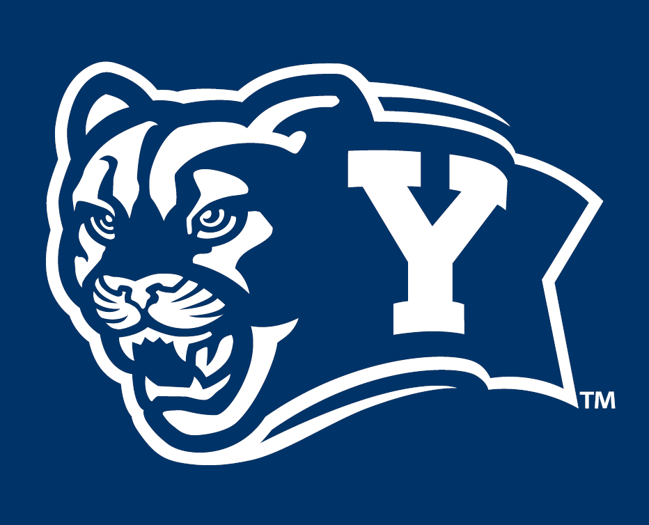 Brigham Young Cougars 2005-Pres Alternate Logo v7 iron on transfers for T-shirts